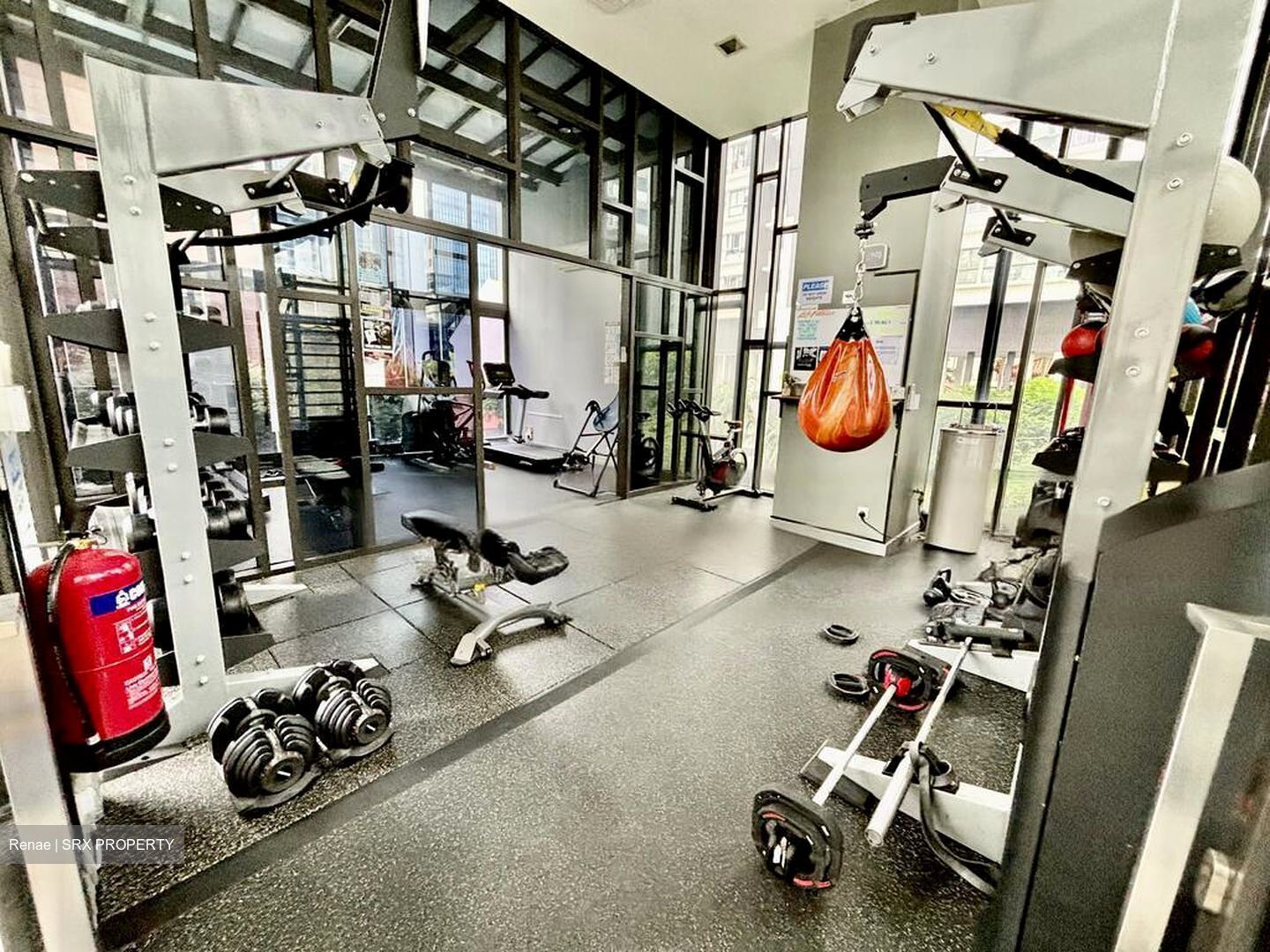 Domus (D12), Apartment #462997691